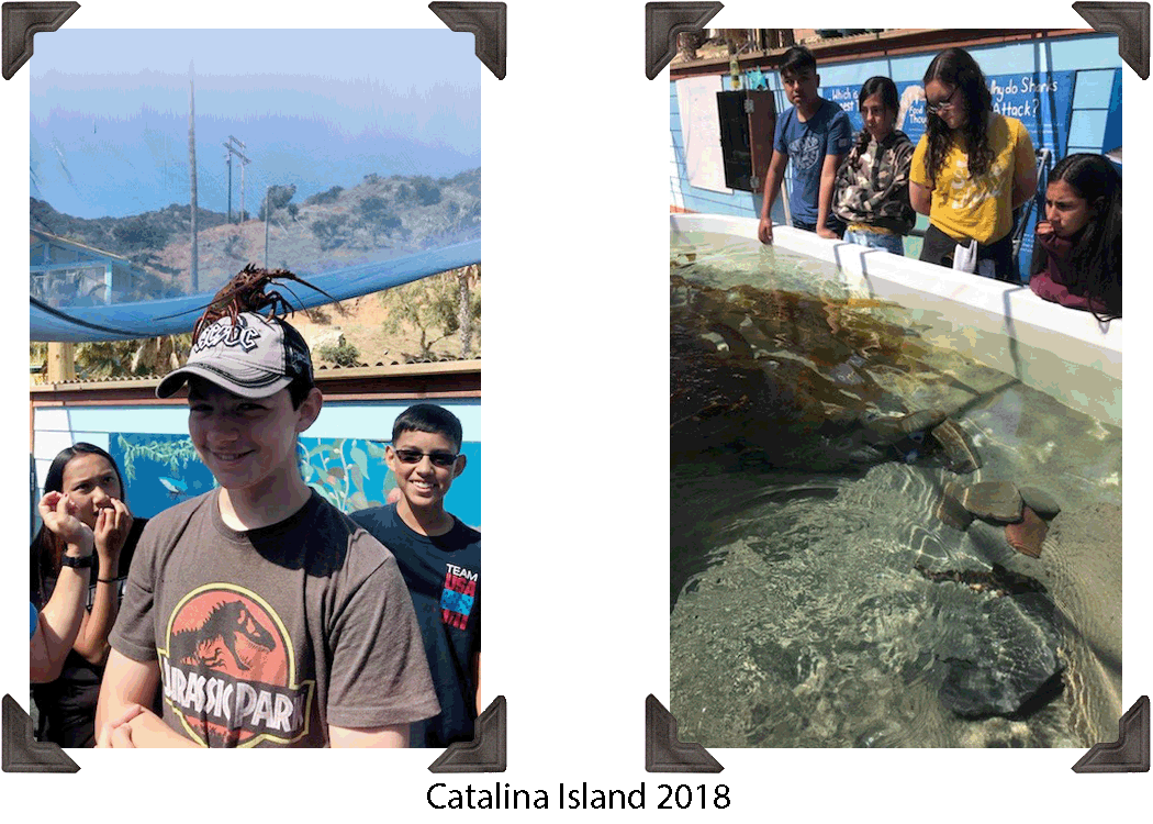 Catalina 2018