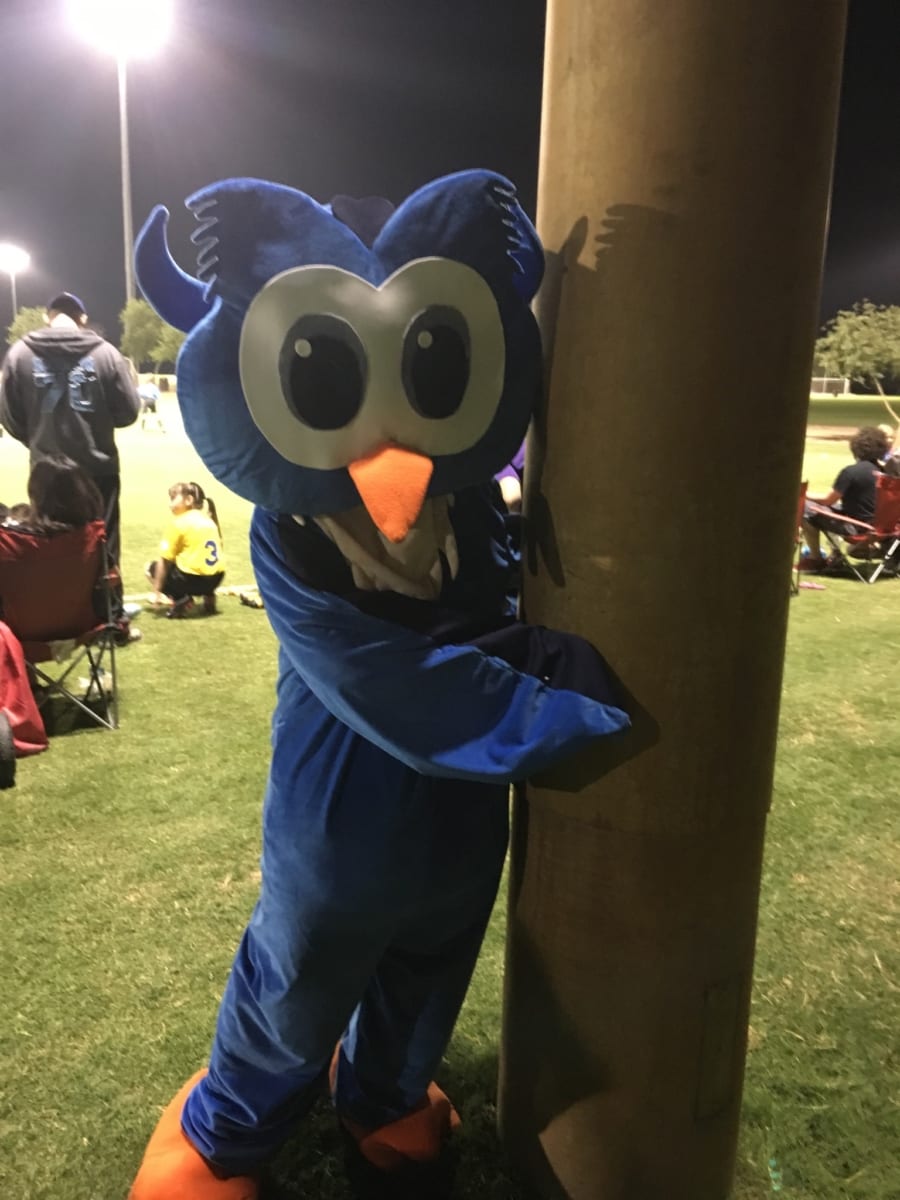 OWL Mascot