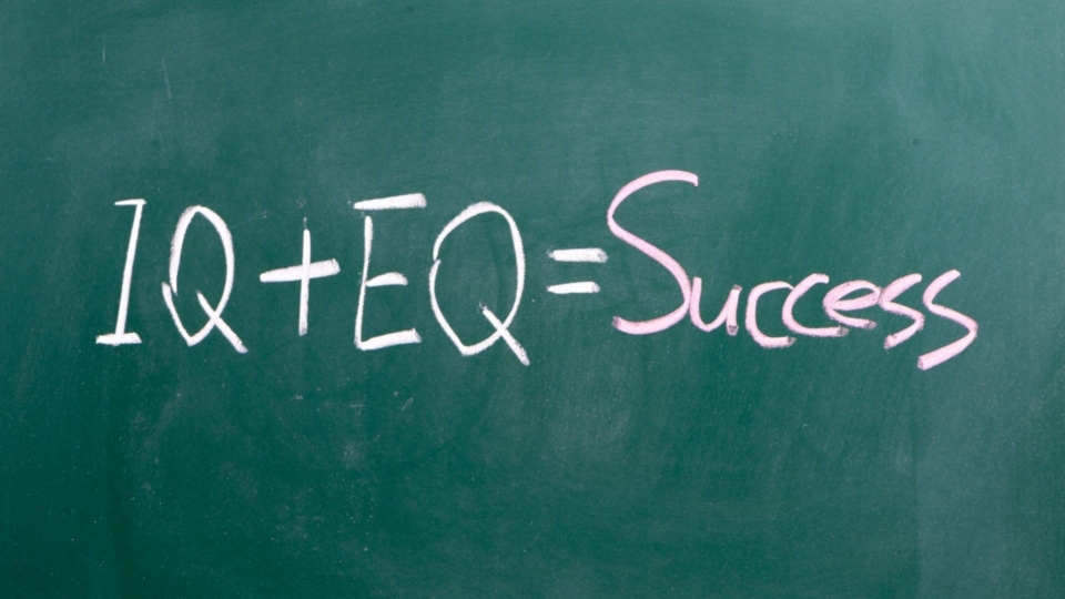IQ/EQ graphic