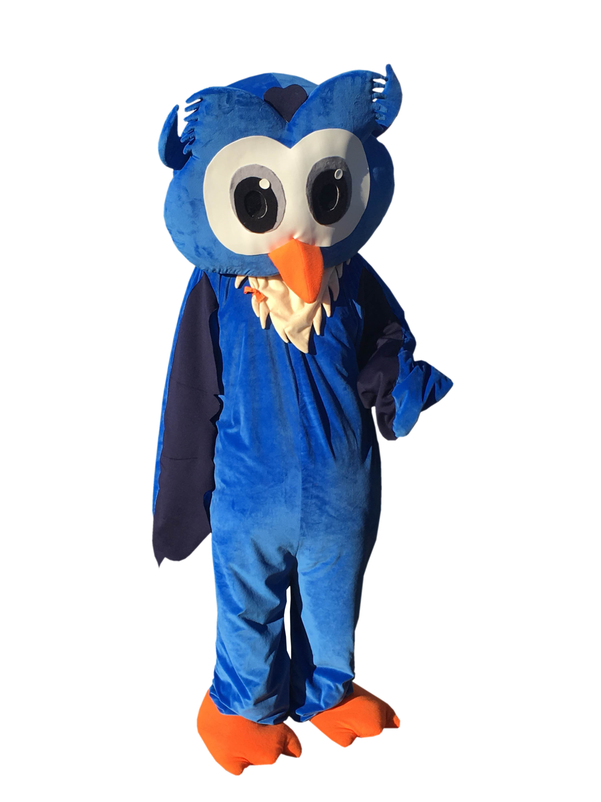 Owlbert